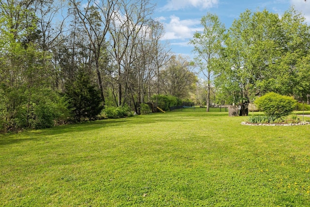 6002 Temple Rd, Nashville, TN 37221 - view of green lawn