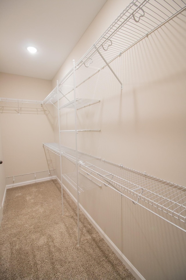 8 Wofford Ests, Clarksville, TN 37040 - photo 16