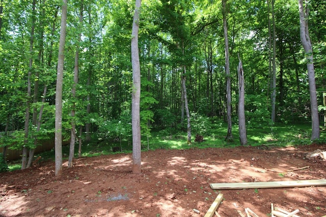 288 Timber Spgs, Clarksville, TN 37042 - photo 3