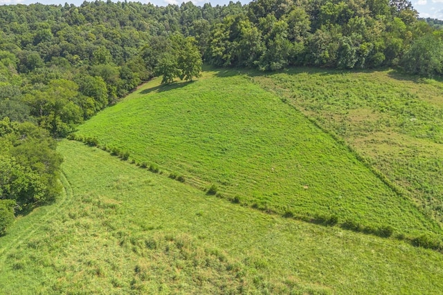 0 Brown Shop Rd, Petersburg, TN 37144 - photo 25