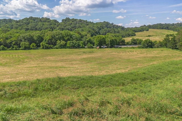 0 Brown Shop Rd, Petersburg, TN 37144 - photo 29