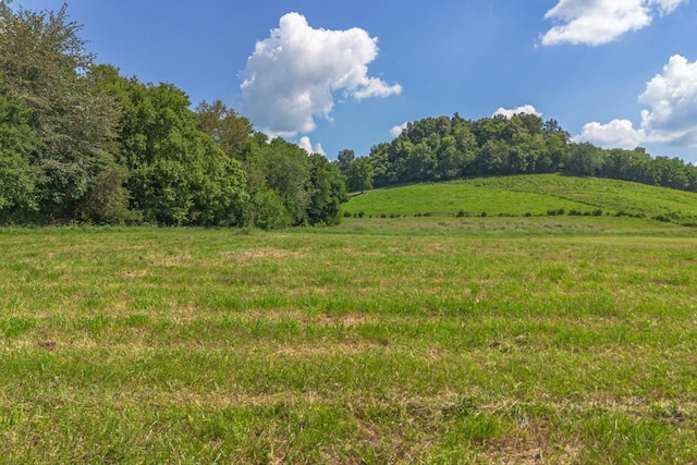 0 Brown Shop Rd, Petersburg, TN 37144 - photo 35