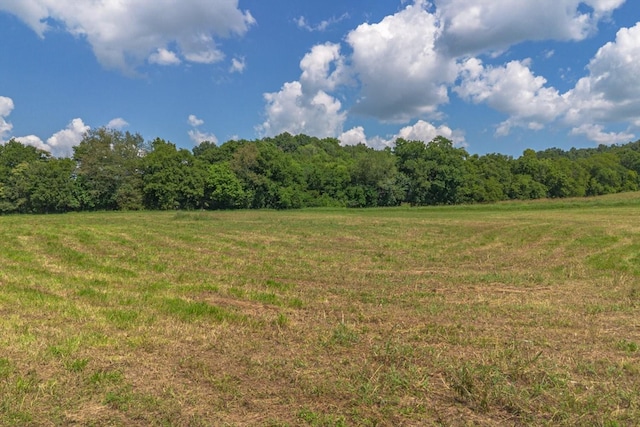 0 Brown Shop Rd, Petersburg, TN 37144 - photo 33