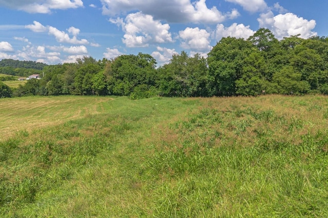 0 Brown Shop Rd, Petersburg, TN 37144 - photo 31