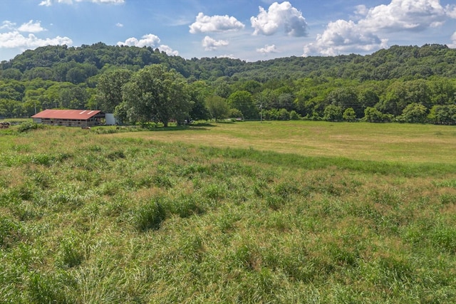 0 Brown Shop Rd, Petersburg, TN 37144 - photo 28