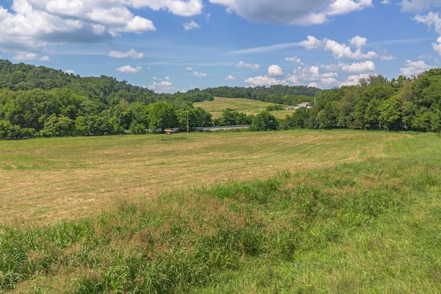 0 Brown Shop Rd, Petersburg, TN 37144 - photo 2