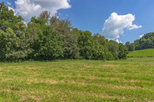 0 Brown Shop Rd, Petersburg, TN 37144 - photo 36