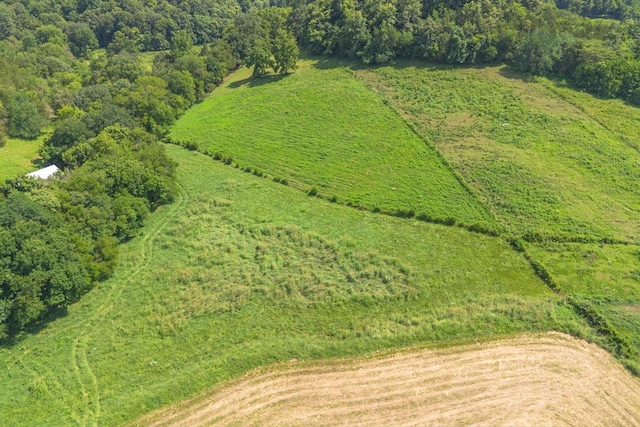 0 Brown Shop Rd, Petersburg, TN 37144 - photo 24