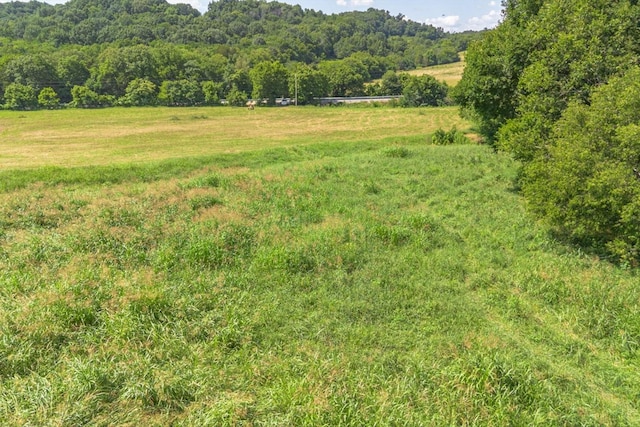 0 Brown Shop Rd, Petersburg, TN 37144 - photo 26