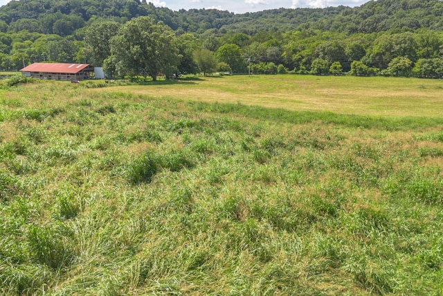 0 Brown Shop Rd, Petersburg, TN 37144 - photo 27