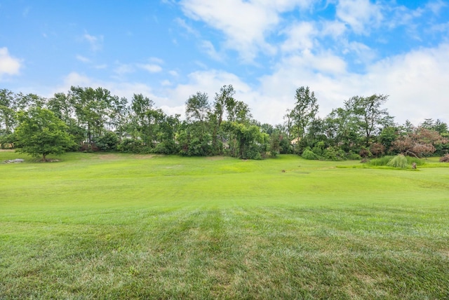 2836 Trelawny Dr, Clarksville, TN 37043 - photo 29