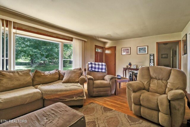110 Clark Ave, Jamestown, TN 38556 - living room with wood finished floors