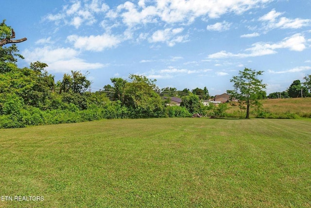 110 Clark Ave, Jamestown, TN 38556 - view of grassy yard
