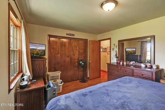 110 Clark Ave, Jamestown, TN 38556 - bedroom with wood finished floors and a closet