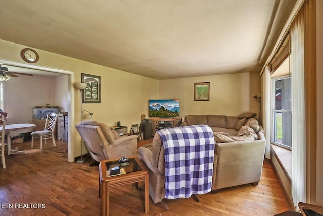 110 Clark Ave, Jamestown, TN 38556 - living room with wood finished floors, plenty of natural light, and a ceiling fan