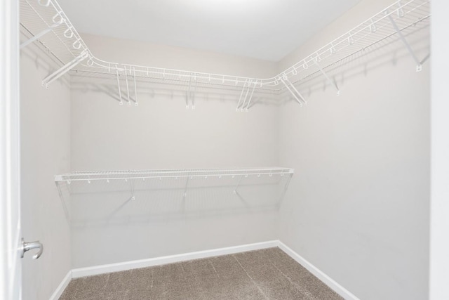708 Ellie Dr, Madison, TN 37115 - spacious closet with carpet flooring
