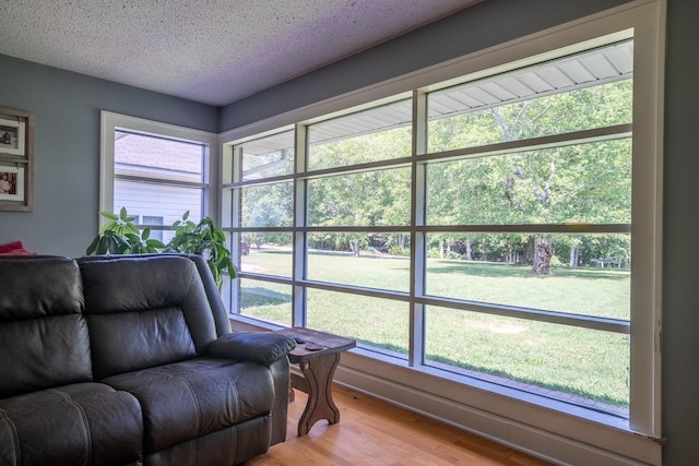 1539 Old Florence Rd, Lawrenceburg, TN 38464 - living area with wood finished floors and a textured ceiling