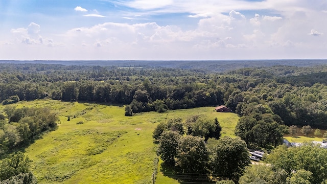 1539 Old Florence Rd, Lawrenceburg, TN 38464 - bird's eye view of a forest