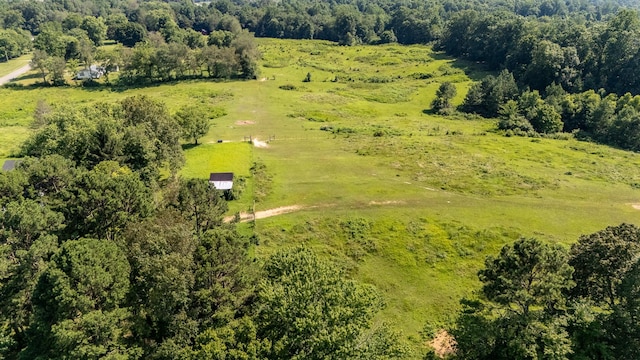 1539 Old Florence Rd, Lawrenceburg, TN 38464 - aerial view of sparsely populated area