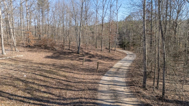 865 Sylvan Dr, Savannah, TN 38372 - photo 47