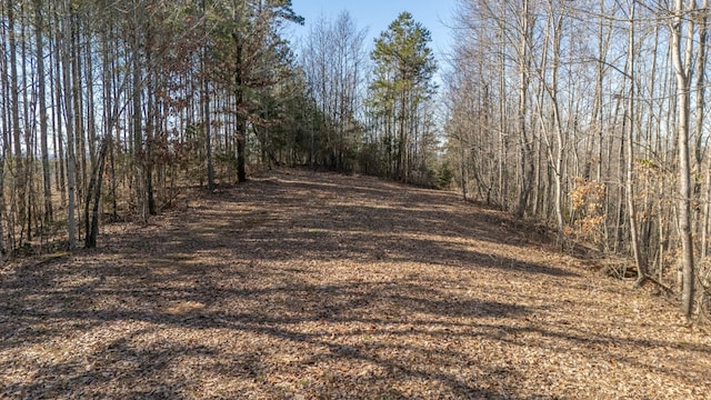 865 Sylvan Dr, Savannah, TN 38372 - photo 45