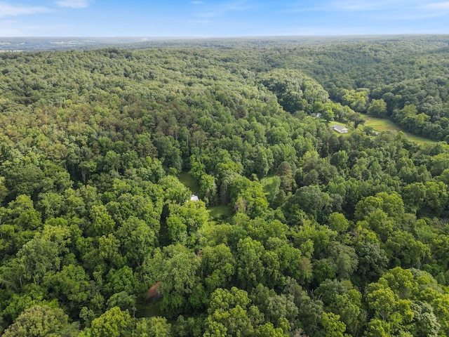 2222 Steep Hill Rd, Nunnelly, TN 37137 - photo 32