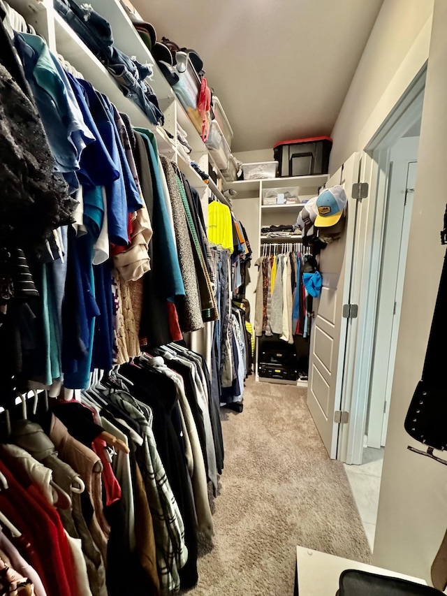 1229 Inverness Pass, Lebanon, TN 37087 - walk in closet with carpet floors
