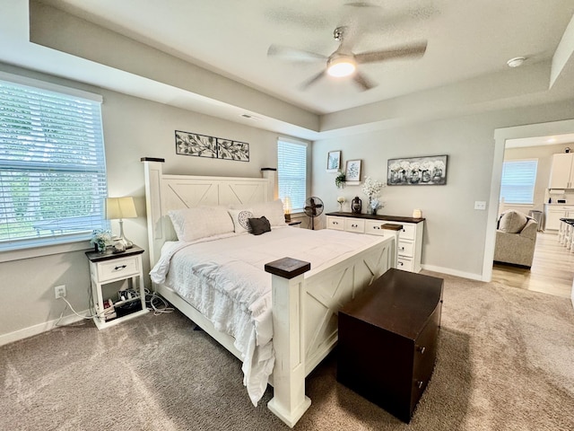 1229 Inverness Pass, Lebanon, TN 37087 - carpeted bedroom with a raised ceiling, multiple windows, and ceiling fan