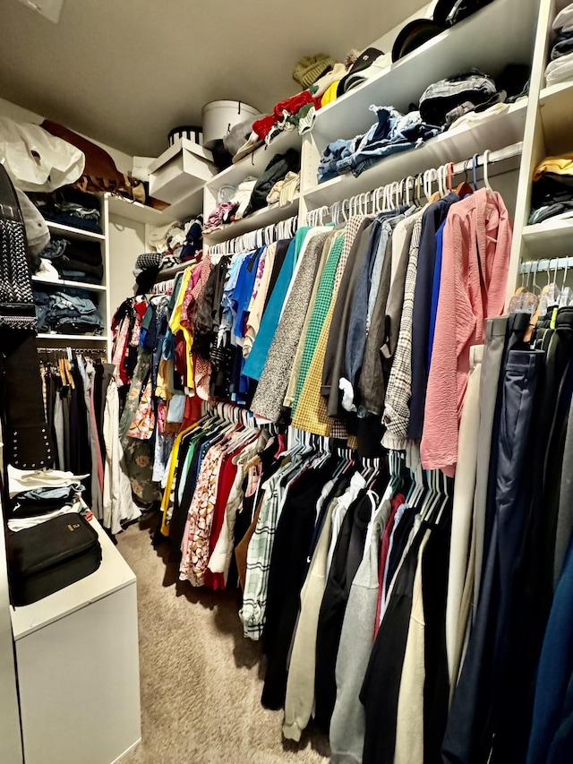 1229 Inverness Pass, Lebanon, TN 37087 - spacious closet with carpet