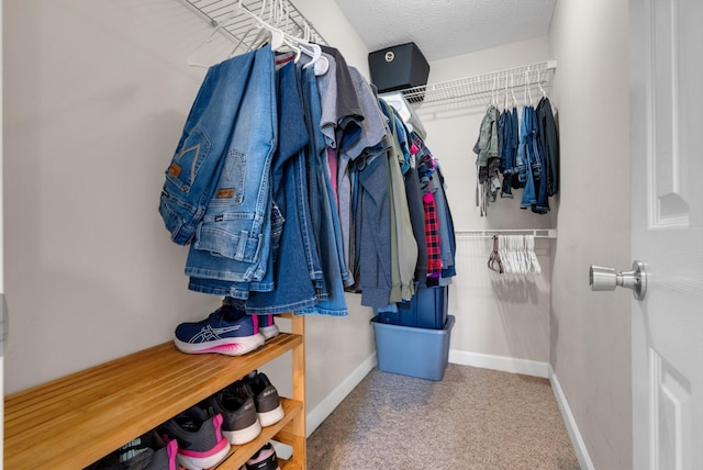 939 Wing Tip Cir, Hopkinsville, KY 42240 - walk in closet with carpet flooring
