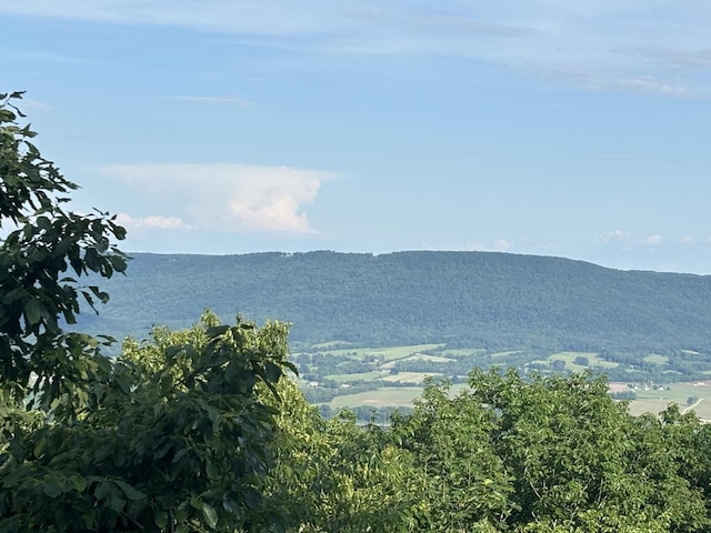 1355 Gray Rock Vw, Pikeville, TN 37367