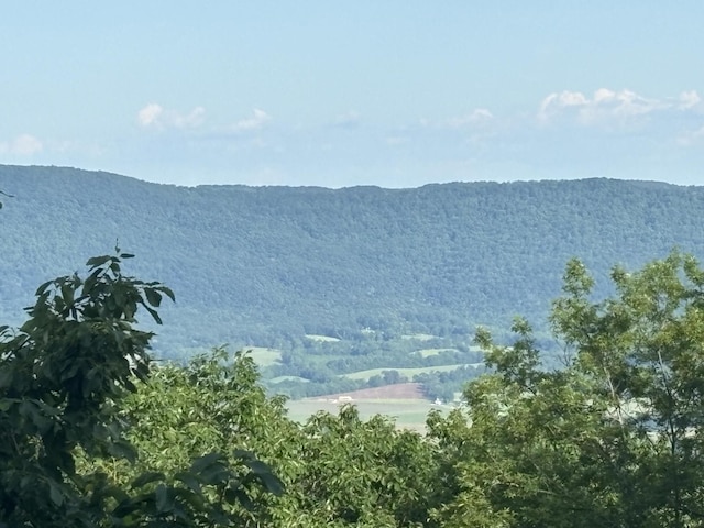 1355 Gray Rock Vw, Pikeville, TN 37367