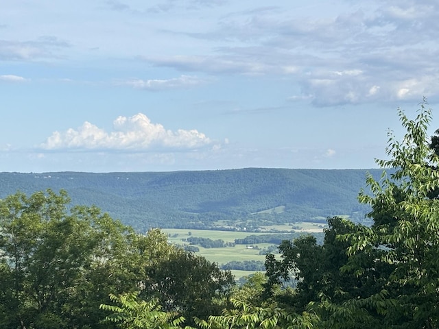 1355 Gray Rock Vw, Pikeville, TN 37367