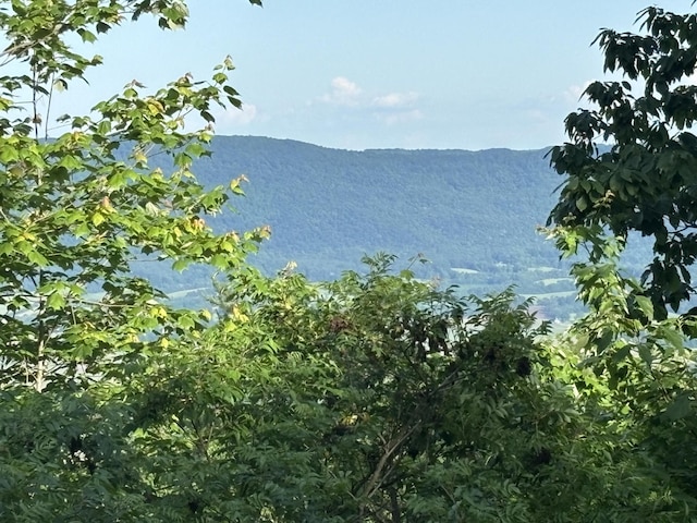 1355 Gray Rock Vw, Pikeville, TN 37367