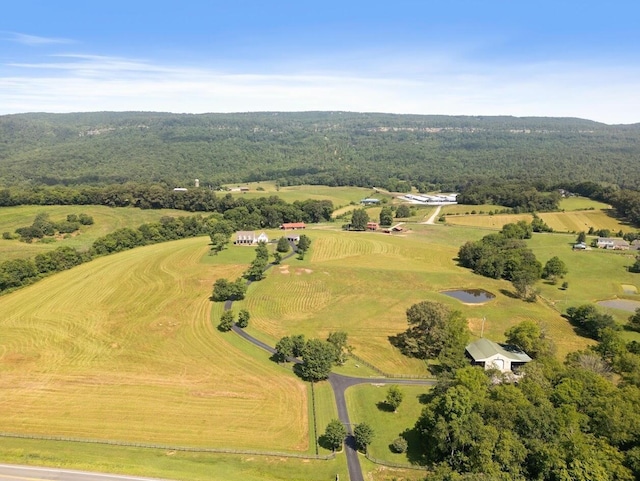 115 Main St, Pikeville, TN 37367 - photo 6