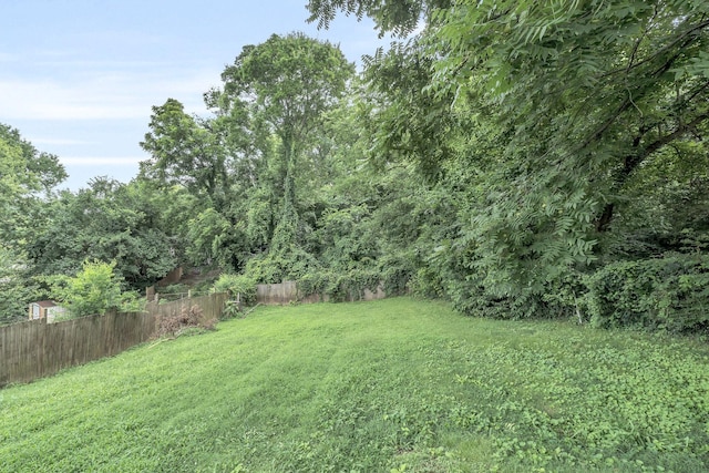 4921 Shihmen Dr, Antioch, TN 37013 - view of yard