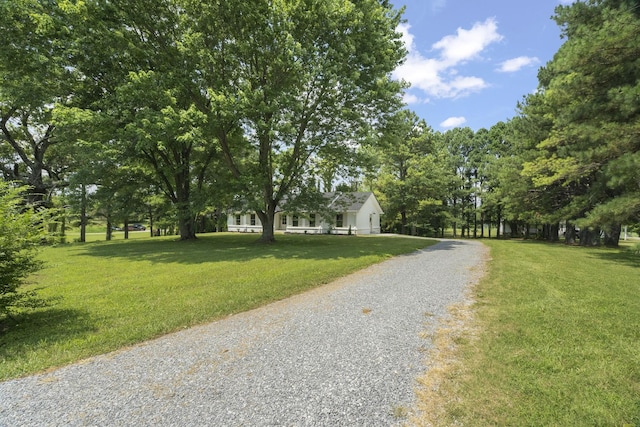 5670 Lakeview Rd, Springfield, TN 37172 - view of dirt / gravel driveway