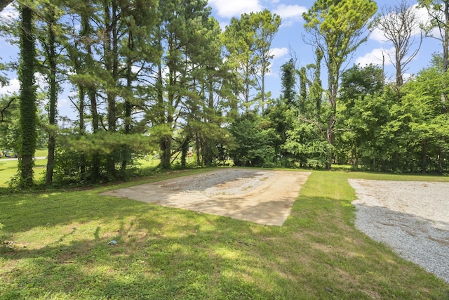 5670 Lakeview Rd, Springfield, TN 37172 - view of grassy yard