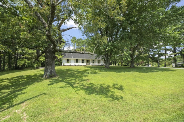 5670 Lakeview Rd, Springfield, TN 37172 - view of grassy yard