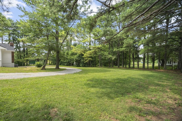 5670 Lakeview Rd, Springfield, TN 37172 - view of green lawn