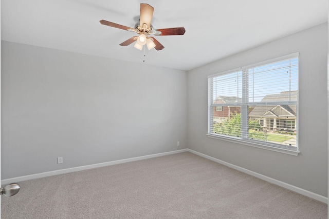 4423 Mordecai Ave, Murfreesboro, TN 37128 - photo 29