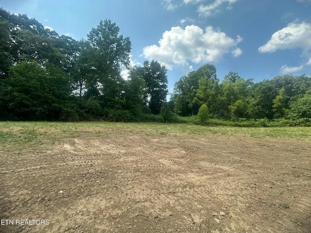 250 Old Grimsley Ct, Grimsley, TN 38565 - view of nature