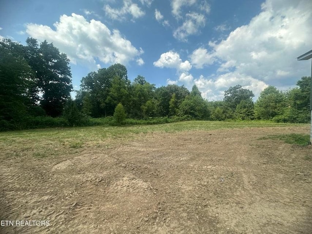 250 Old Grimsley Ct, Grimsley, TN 38565 - view of nature