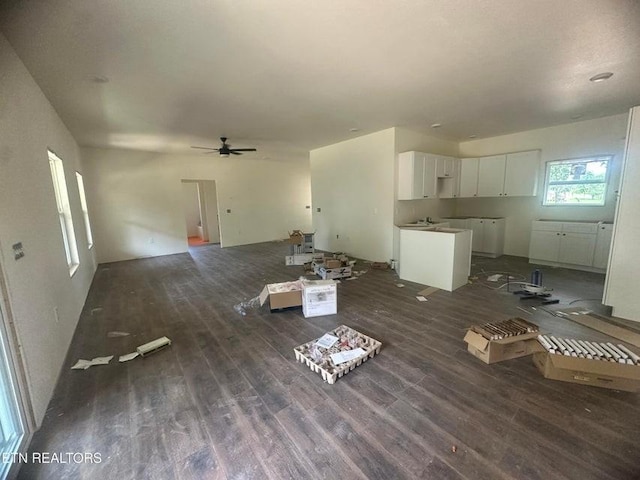 250 Old Grimsley Ct, Grimsley, TN 38565 - unfurnished living room with wood finished floors and a ceiling fan