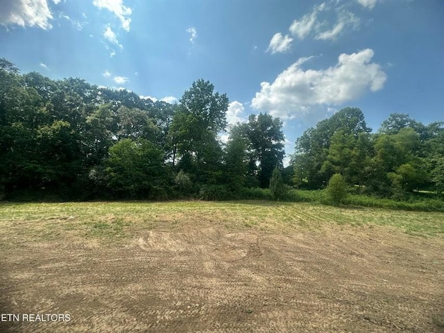 250 Old Grimsley Ct, Grimsley, TN 38565 - view of undeveloped land