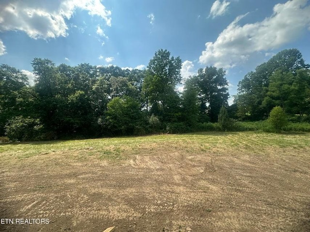 250 Old Grimsley Ct, Grimsley, TN 38565 - view of nature
