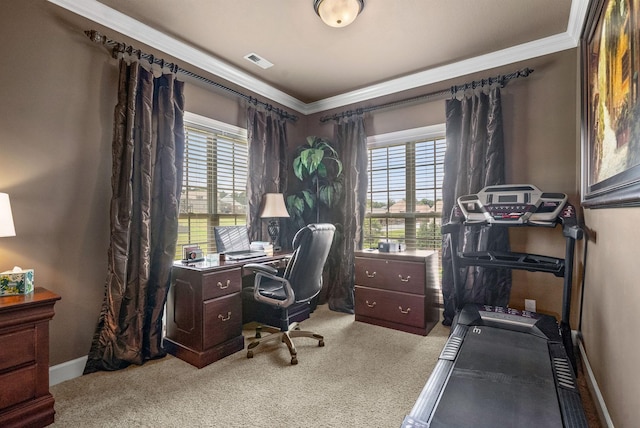 1192 Wicke Rd, Adams, TN 37010 - office area with ornamental molding and carpet flooring