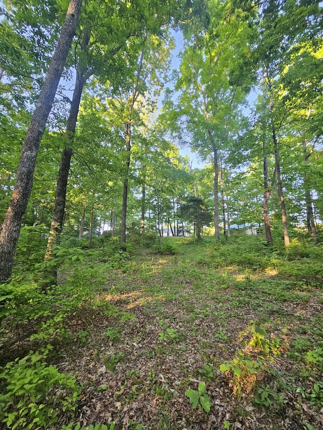 3041 Bowker Rd, Charlotte, TN 37036 - photo 9