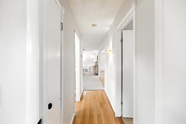 215 Patrick St, Estill Springs, TN 37330 - hallway featuring light wood-style flooring and baseboards