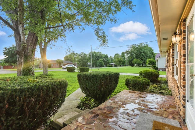 215 Patrick St, Estill Springs, TN 37330 - view of green lawn